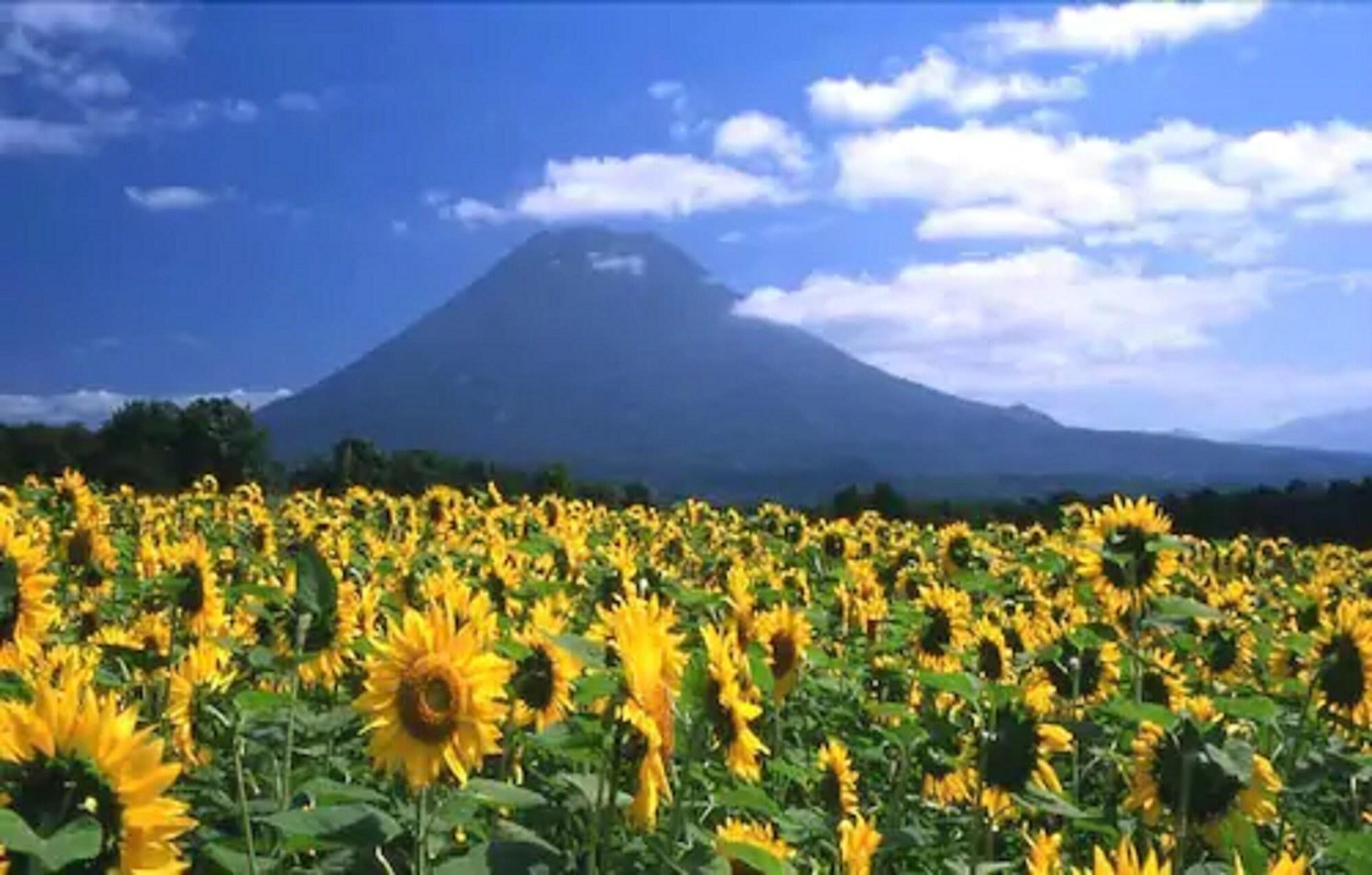 Niseko Prince Hotel Hirafutei Extérieur photo