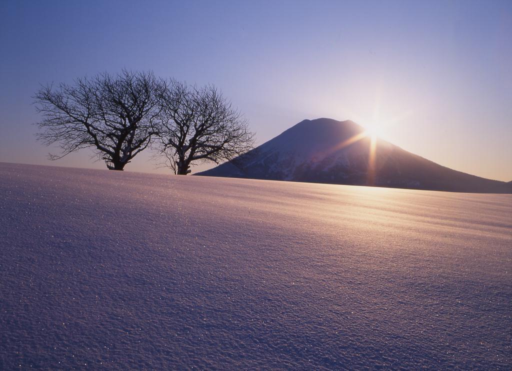 Niseko Prince Hotel Hirafutei Extérieur photo